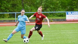 Fußball Frauen-Regionalliga Süd: Hofer Leidenschaft wird nicht belohnt