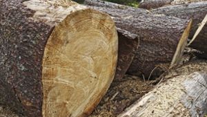 Zwist im Frankenwald: Polizei ermittelt nach Baumfällung